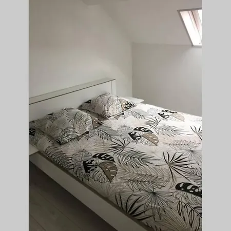 F2 Bis Proche De Toutes Commodites 아파트 샤토티에리